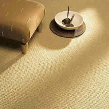 Wool Carpet Cleaning Lacey